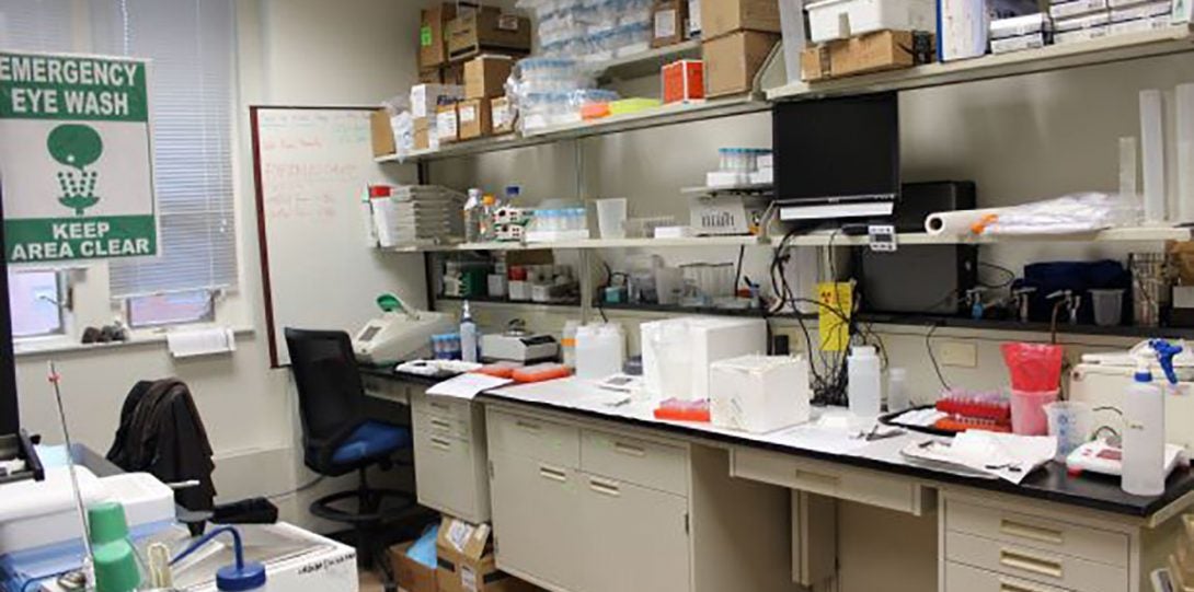 Lab 