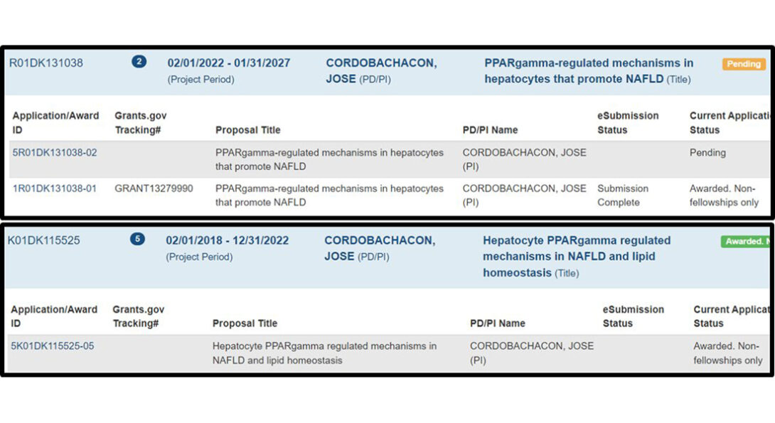 NIH-funded R01 and K01 - 2022